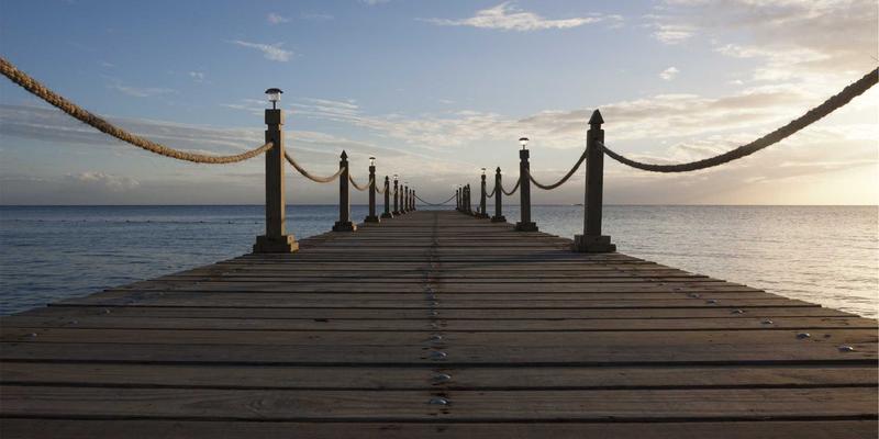 The Kelly Criterion: How Pro Bettors Manage Bankrolls